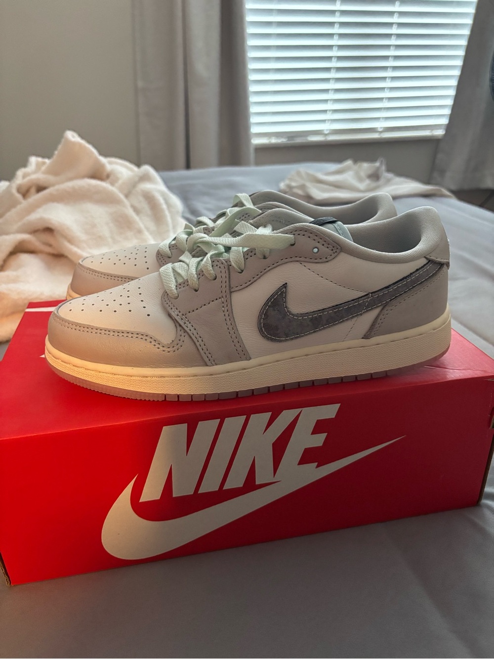 Nike Low Top Sneakers in Light Gray and Cream with Dark Gray Swoosh